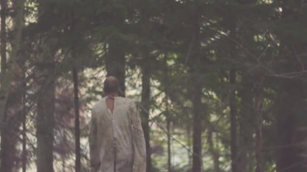 Rückansicht des schmutzigen verlorenen Mannes im Wald. Aktien. Verlorener Mann im schmutzigen weißen langen Hemd irrt allein durch dichten Wald. Gefährliches Abenteuer allein — Stockvideo