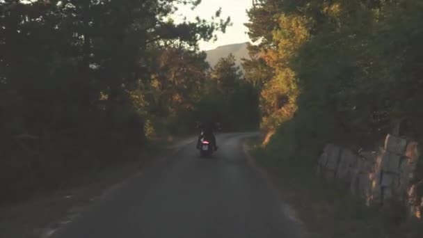 Blick von hinten auf einen Mann, der Motorrad auf einer Forststraße fährt. Aktien. Rückansicht eines Motorradfahrers in schwarzer Lederjacke, der auf asphaltierter kurvenreicher Straße unterwegs ist. Motorradausflug durch dichten grünen Wald an sonnigem Tag — Stockvideo