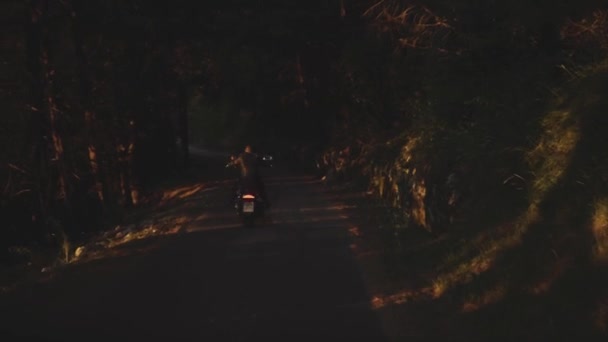 Uitzicht vanaf de achterkant man rijden motorfiets op bos weg. Voorraad. Prachtig uitzicht op de motorrijder in zwart lederen jas rijden op asfaltweg door dichte groene bossen in zonsondergang stralen — Stockvideo