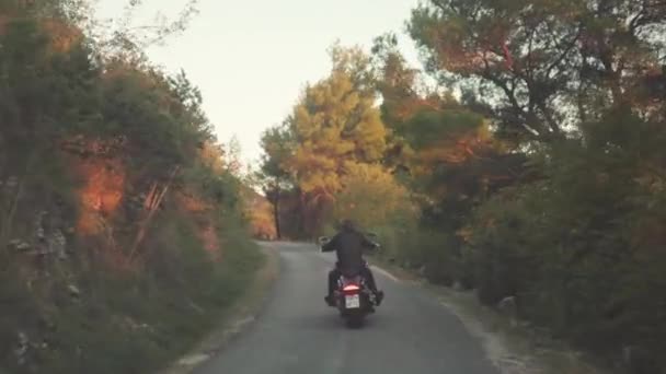 Uitzicht vanaf de achterkant man rijden motorfiets op bos weg. Voorraad. Prachtig uitzicht op de motorrijder in zwart lederen jas rijden op asfaltweg door dichte groene bossen in zonsondergang stralen — Stockvideo