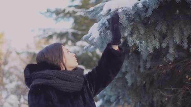 Ung kvinna berör fir gren. Attraktiv ung kvinna i svart päls och med scarf på promenad berör grenar av Gran — Stockvideo