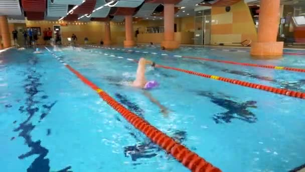 Homem nadando na piscina. Ajuste o treinamento de nadador jovem do sexo masculino na piscina. Jovem nadando a frente rastejar em uma piscina. Jovem atleta masculino nadando estilo livre na piscina durante a competição — Vídeo de Stock