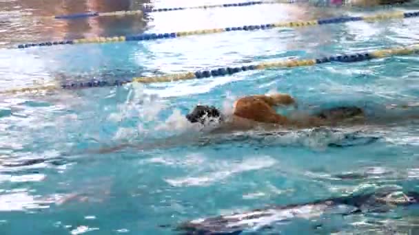 Hombre nadando en la piscina. Ajuste joven nadador masculino de entrenamiento en la piscina. Un joven nadando en la piscina. Joven atleta masculino nadando estilo libre en la piscina durante la competición — Vídeos de Stock