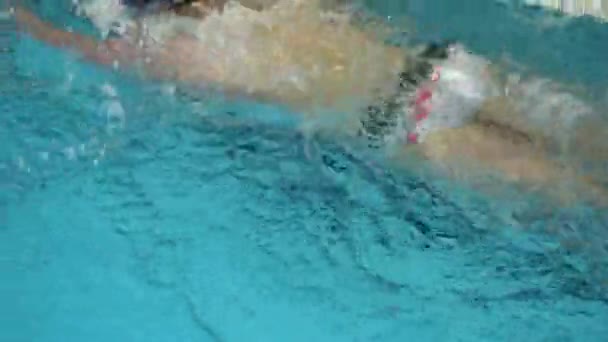 Man Swimming in Pool. Fit young male swimmer training in the pool. Young man swimming the front crawl in a pool. Young male athlete swimming freestyle in pool during competition — Stock Video