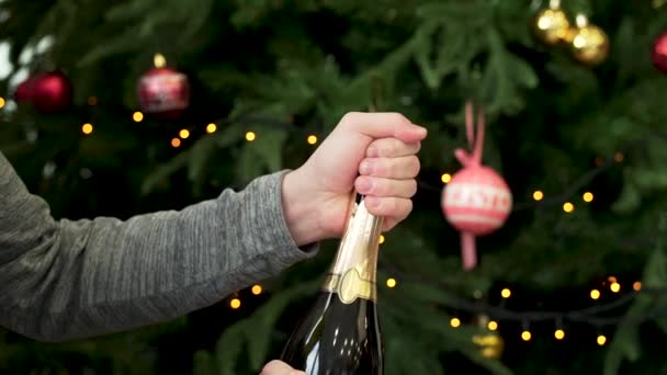 人们手打开一瓶香槟酒装饰圣诞树的背景, 新年庆祝的概念。在绿色云杉前, 人双手脱下起泡酒瓶. — 图库视频影像