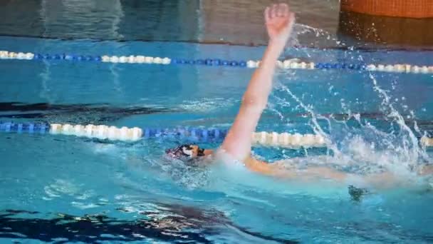Stäng för professionella simmare i långsam mothion medan simning race i inomhuspoolen. Atlet utbildning, simmar på rygg i poolen. — Stockvideo
