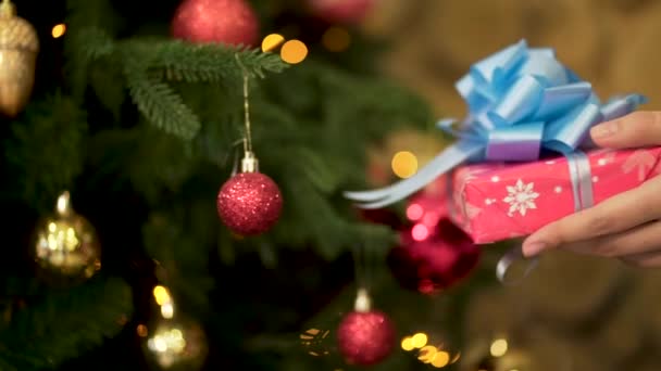 Close up for female hand holding Christmas present in red wrapping paper with big, blue ribbon. Woman hand with beautiful New Year gift on green, decorated with toys Christmas Tree background. — Stock Video
