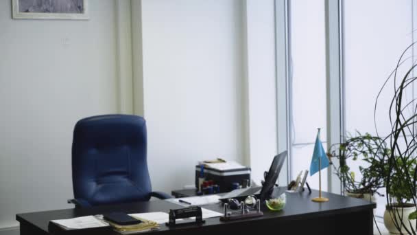 Close-up of the Businesswoman and Businessman Shaking Hands with Emphasis on the Handshake. Man with a woman shaking hands in the office — Stock Video