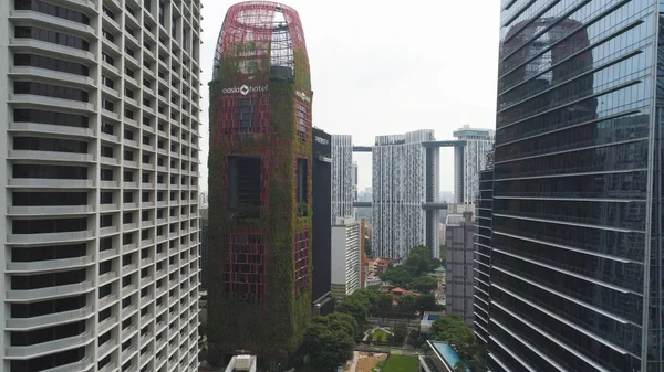 近代的な建物とアイビーの空中には、シンガポールの美しいホテルの壁が覆われています。ショット。シンガポールのビジネス建物間でグリーン リーフ ウォール ホテル. — ストック写真