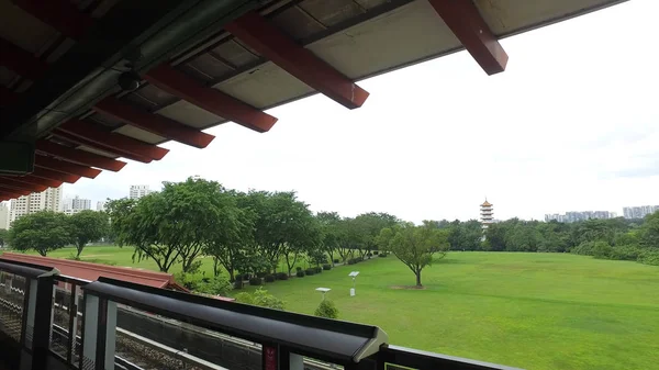 En Mrt tåget i Singapore på stationen på gröna träd bakgrund. Skott. Singapore massa snabba tåg Mrt vid stationen. — Stockfoto