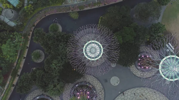 Översta Flygfoto för Supertree grove i trädgården vid Marina Bay Sands i Singapore. Skott. Belysta, vackra, färgglada träd på Gardens by the Bay i dagtid, Singapore. — Stockfoto