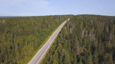 Ülke yol yaz aylarında yeşil yaz ormana havadan görünümü yukarıdaki. Vurdu. Araba araba. Bir yol yalak kopya alanı ile batımında orman yüksek açı bakış. Yol asfalt üstten görünüm