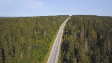 Uçan güzel orman ağaçları ve yol üzerinde. Vurdu. Havadan görünümü. Tepelerde bir yol araç. Hava kamera çekim. Manzara panorama. İki şeritli orman yolu havadan görünümü eski üzerinde uçan yamalı