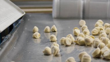 Tablo için sadece bitmiş köfte sinek--dan tepsi. Köfte yavaş uçan. Yavaş çekimde bir köfte, kaynar. Et köfte bir kapsayıcıda bulunan bir tepsi düştü olmak