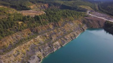 Nehir lake shore bitkiler üzerinde Aerail görünümü. Hava manzara mavi göl kenarı boyunca orman. Yeşil orman nehir sahil peyzaj