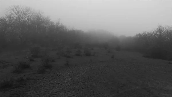 Electricity transmission line in front of foggy forest near contryside road. Shot. Electrical supply wires in fog in the early morning — Stock Photo, Image