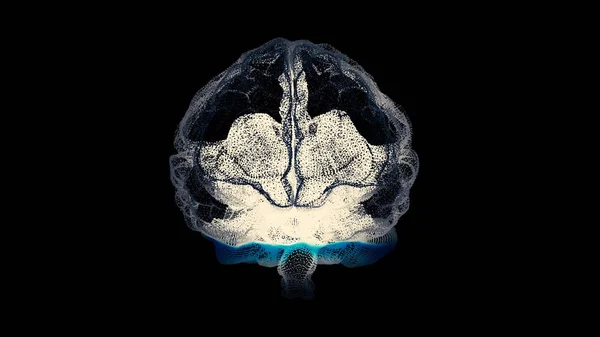 3D рендеринг изображения в стиле Xray человеческого мозга вращается. Человеческий мозг формируется вращающимися частицами. Мозг соединяет цифровые линии, расширяя искусственный интеллект. Рентгеновская вспышка мозга, биология — стоковое фото