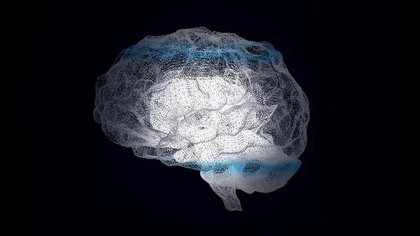 Человеческий белый мозг на черном фоне, научная анатомия. Человеческий мозг как голограмма. Плексус. Белый вращающийся человеческий мозг на черном фоне. Медицина и наука. Цикл анимации — стоковое фото