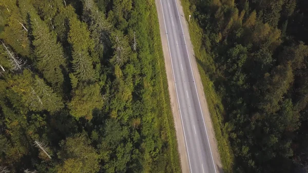 Vista aérea desde arriba de la carretera de campo a través del verde bosque de verano en verano. Le dispararon. Conducción de coche. Vista de ángulo alto de una carretera a través del bosque al atardecer con espacio para copiar. Vista superior del camino de asfalto — Foto de Stock