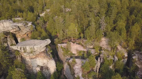 Forêt et rochers en automne vue aérienne sur drone. Vue aérienne sur les Rochers, formation rocheuse wth paysage forestier. Grimpe. Un groupe de jeunes alpinistes conquérir les sommets des rochers et des montagnes — Photo