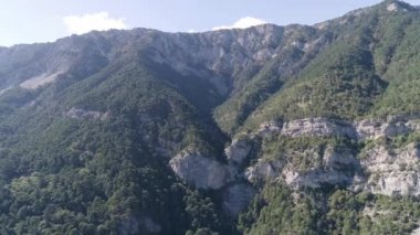 Sakin sahne yaz yeşil iğne yapraklı orman ve dağlar manzara seyahat etmek. Vurdu. Hava dron panoramik dağ tepe karışık orman ağaç ve çam ağaçları ile ince yüksek ağaç gövdeleri,