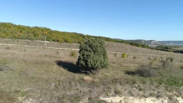 Vista aerea su un bellissimo paesaggio con alberi, campo e montagne sfondo. Gli hanno sparato. Montagne con terreni agricoli, villaggio, campi con colture, alberi. Vista aerea montagna paesaggio piste montagne — Video Stock