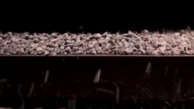 Makine seçimi ve ezilmiş moloz ve taş kırma için. Toplama ayırıcı veya inşaat kum filler makine. Taş Kırma tertibatları