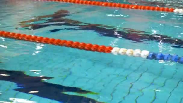 Pool med blått vatten för sport simning med spår, Stäng upp för klart vatten i poolen med simma körfält. — Stockvideo