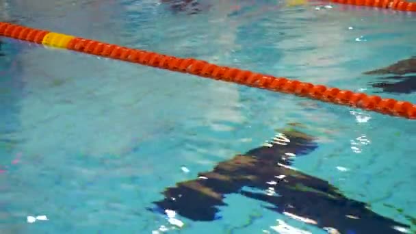 Pool med blått vatten för sport simning med spår, Stäng upp för klart vatten i poolen med simma körfält. — Stockvideo