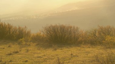 Çölün ortasında nadir kuru çalılar. Vurdu. Dikenler tozlu arka plan ile çöl Vadisi'nin panoramik görünümü. Toprak sana diken ve vurdu taş yaz çölde üst ile Kuru toprak.