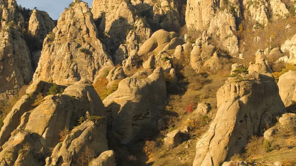 Edelweiss bir panorama olarak Alpleri'nde akşam güneşin kayaya. Vurdu. Dağ Vadisi rock ağaç manzarası. Dağ Vadisi dağ rock. Dağ Vadisi rock görünümü. Kurtlar Vadisi gerçekleşecek güneş