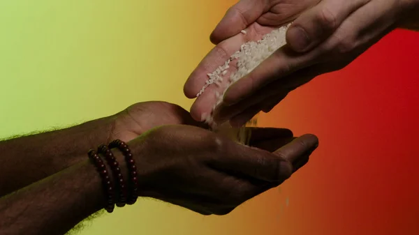 Hands of white man giving rice grains to another hands of afroamerican, isolated on bright background. Stock. Pouring rice from hands to hands, humanitarian aid, helping to poor countries concept.