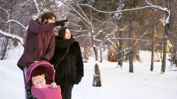 Familia joven y feliz caminando en un parque de invierno, mamá, papá y bebé en un cochecito rosa. Hombre señalando el dedo y los padres mirando a la izquierda en el fondo de los árboles de invierno . — Foto de Stock