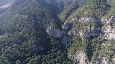 Havadan görünümü ile ağaçlar ve bitkiler, yoğun orman büyük Dağları. Vurdu. Güneşli bir yaz yüksek kayalıklarla çarpıcı manzara.