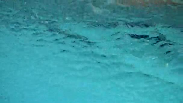 Mladý muž s brýle a čepici koupání v modré vodě bazénu, vnitřní. Sportsman plave v čisté vodě bazénu, procházení styl, koncepce zdraví. — Stock video