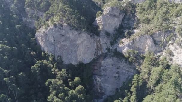 Vue Aérienne Immenses Montagnes Avec Arbres Plantes Forêt Dense Superbe — Video