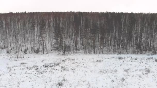 冬の森の農村道路の平面図です 在庫があります 冬の森の郊外を通る雪に覆われた田舎道の側面図 — ストック動画