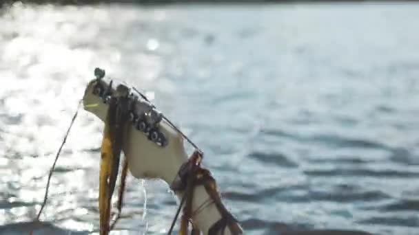 Achteraanzicht van natte gitaar hals met hangende kelps en vallende water druppels op vervagen de rivier van de donkere achtergrond. Voorraad. Close-up voor gedetailleerde, gitaar pakte vanaf de onderkant van een rivier met hangende nat gras. — Stockvideo