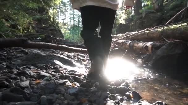 Vista posteriore di ragazzo camper a piedi attraverso il fiume piccolo ruscello, tronchi d'albero follen e rocce, rallentatore. Un filmato. Uomo turistico a piedi lungo le pietre, torrente e follen alberi nella foresta verde in una giornata di sole . — Video Stock