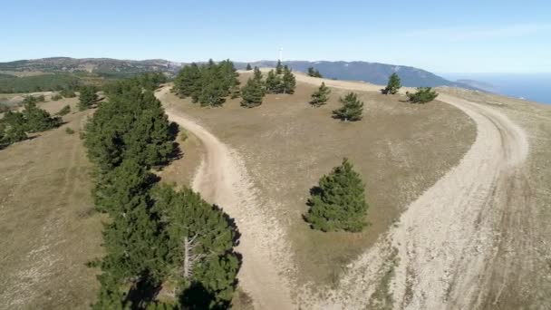 Sökvägen på kullen med granar nära brant sluttning med dalen och kuststad på blå himmel bakgrund. Skott. Antenn för havet på horisonten nära stad och berg med landsväg. — Stockvideo