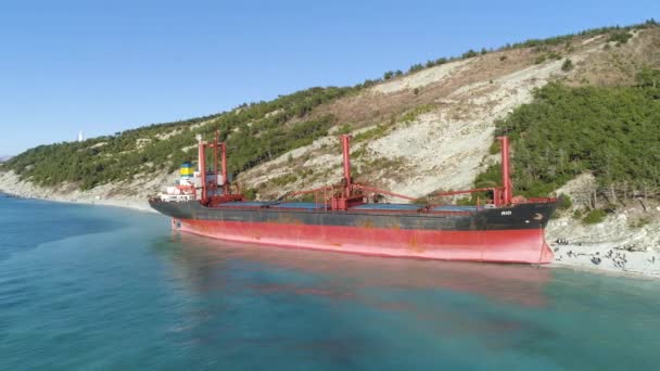 Anténa pro průmyslové červené nákladní loď na břehu moře s mnoha lidí, kteří jdou. Střela. Velké lodi zakotvené na břehu moře nedaleko svahu pokryté zelenými stromy na pozadí modré oblohy. — Stock video