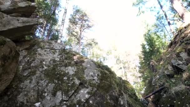 Blick auf die Schlucht von unten mit vielen Bäumen auf hellem Himmelshintergrund. Filmmaterial. riesige Felsen in der engen Schlucht gegen den blauen Himmel, Blick von unten. — Stockvideo