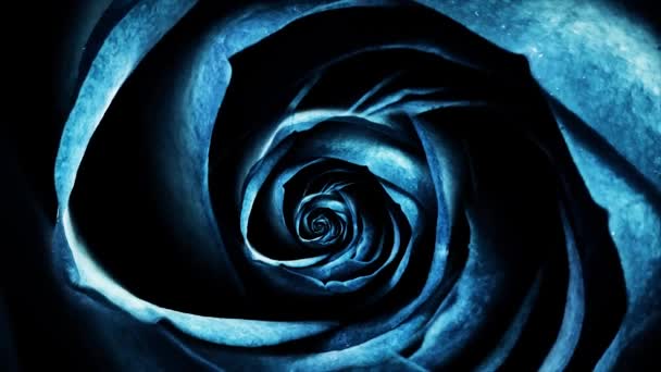Γκρο πλαν animation τριαντάφυλλα. Μακροεντολή animation της κυκλικής κίνησης rosebud ανάπαυλας. Όμορφα και πολύχρωμα γραφικά animation της φυσικής ομορφιάς του τριαντάφυλλο μπουμπούκι — Αρχείο Βίντεο
