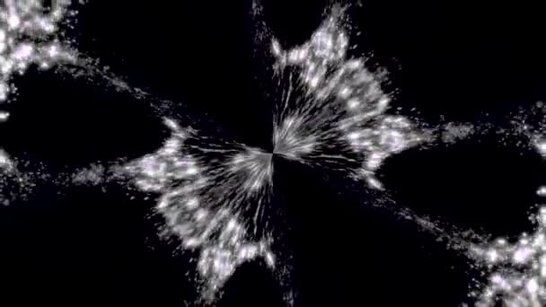Abstract, monochroom symmetrisch patroon van veren op zwarte achtergrond, naadloze loops. Caleidoscopische abstracte ovalen meegezogen in het punt sentral. — Stockvideo