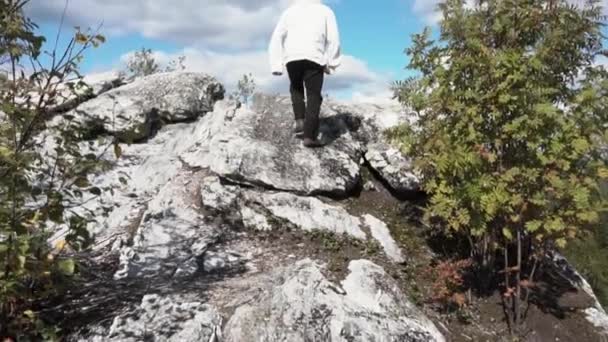 Turista parado solo junto al paisaje del bosque de montaña. Vista posterior en la escalada de una roca y Mirando al horizonte en un día soleado, fondo del bosque. Mirando al horizonte — Vídeo de stock