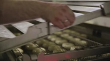 Çörek kızartma yağ fabrikası, kızarmış hamur şekerleme veya tatlı gıda kavramı içinde hazırlama işlemi. Donut ekmek yağ kaynar suda koyarak