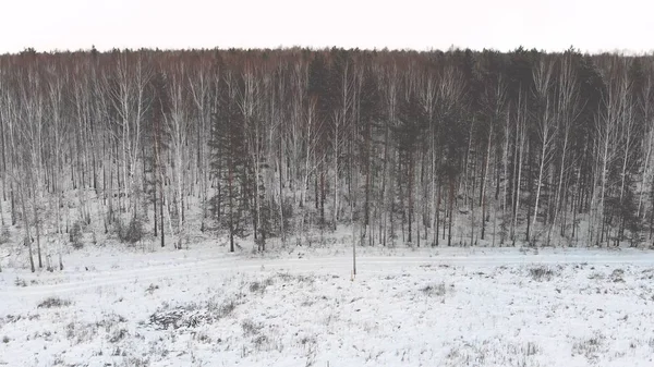 Bovenaanzicht van landelijke weg bij bos in de winter. Voorraad. Zijaanzicht van sneeuw bedekte landelijke weg langs de rand van bos in de winter — Stockfoto