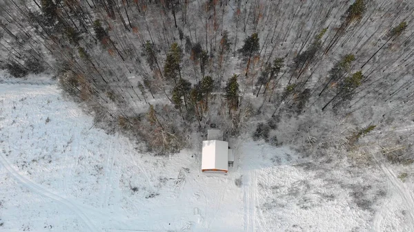 Top view of house at forest in winter. Stock. Country house on outskirts of dense forest is located alone and away from civilization in winter