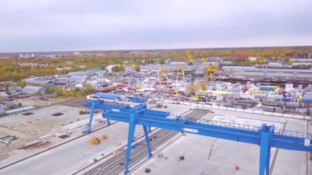 Bovenaanzicht van container. Clip. Bovenaanzicht van de kraan. Grote logistieke transportbedrijf — Stockvideo