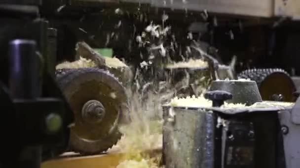 Close-up of sawdust woodworking machine. Stationary powerful woodworking machine tool throwing out sawdust while reducing thickness of hardwood board — Stock Video